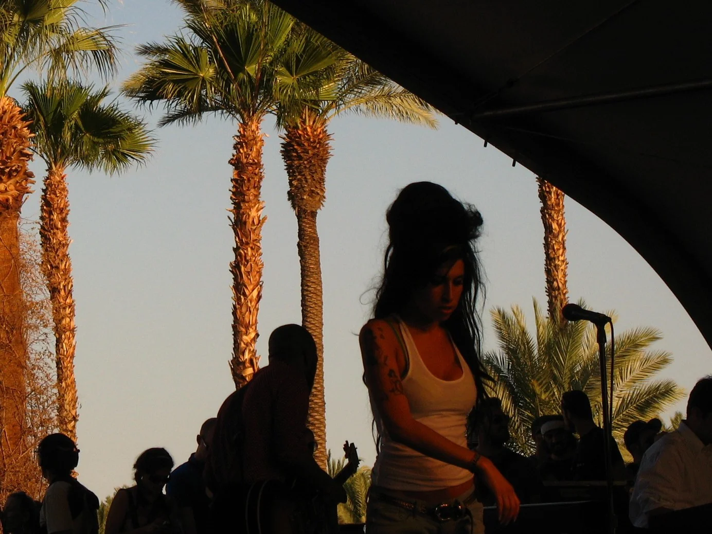 Silhouette of Amy Winehouse with her beehive hairdo on stage against a sunset sky and palm trees